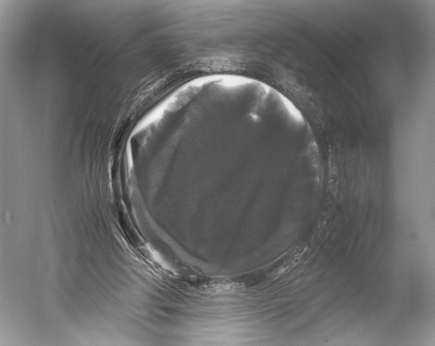 X0000052920202200508050812