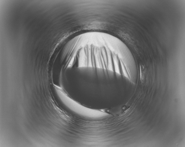 X0000052920204200508050812