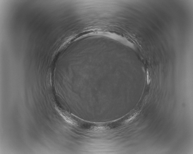 X0000052920205200508050812
