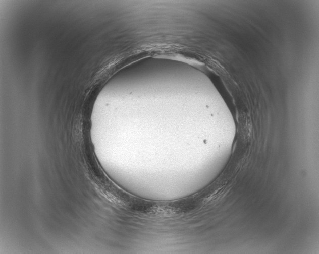 X0000052920207200508050812