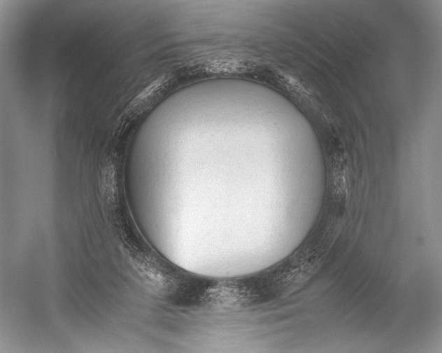 X0000052920211200508050812