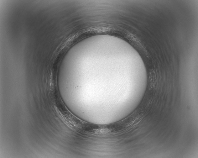 X0000052920212200508050812