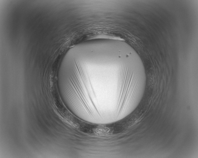 X0000052920215200508050812