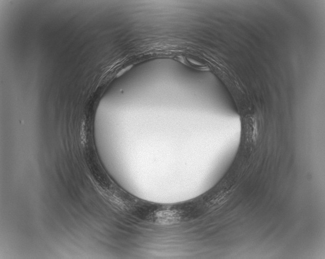 X0000052920216200508050812