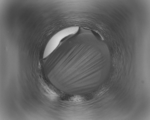 X0000052920219200508050812