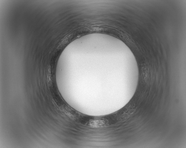 X0000052920220200508050812