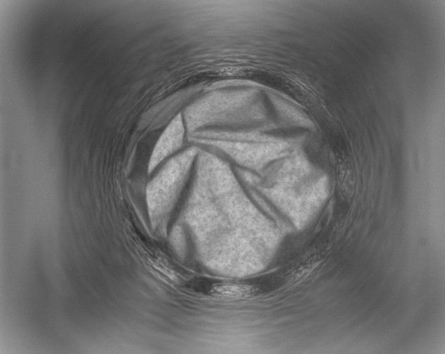 X0000052920221200508050812