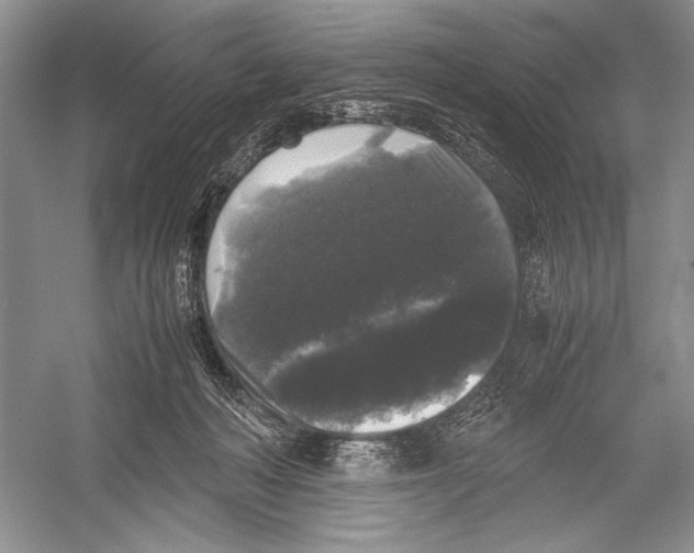 X0000052920222200508050812