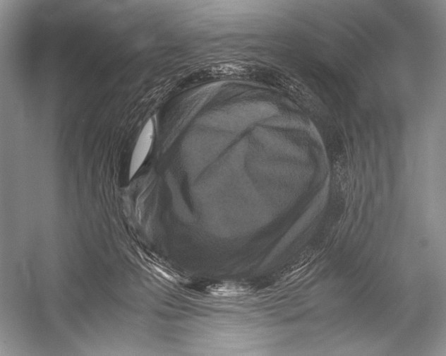 X0000052920223200508050812