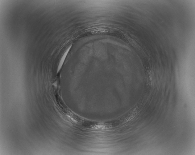 X0000052920224200508050812