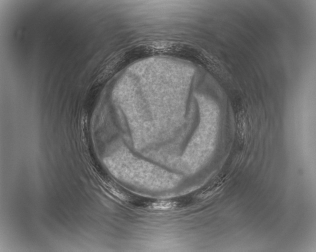 X0000052920225200508050812