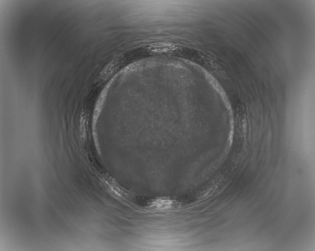 X0000052920227200508050812
