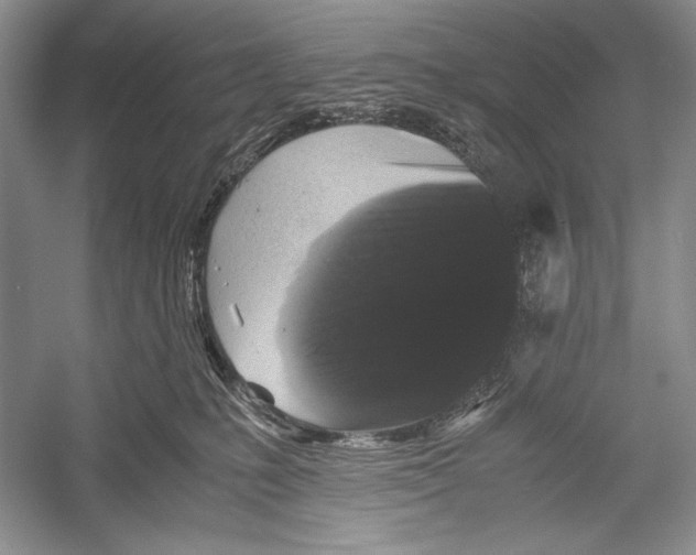X0000052920231200508050811