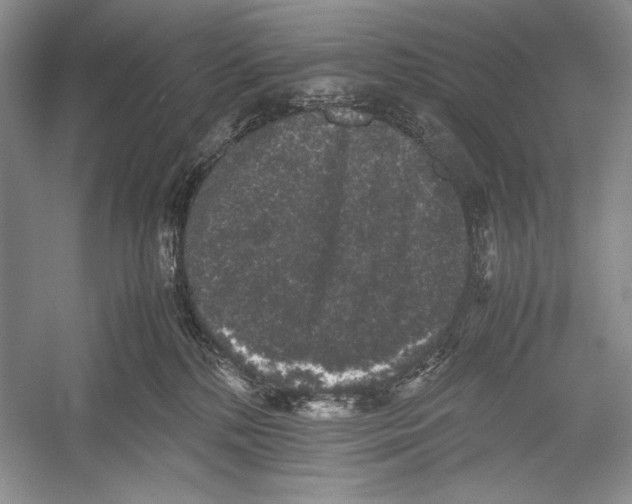 X0000052920232200508050811
