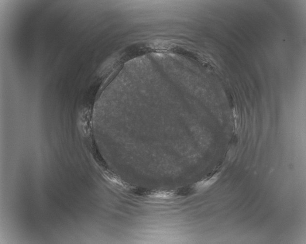 X0000052920237200508050811