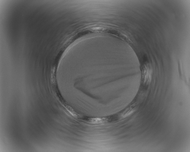 X0000052920239200508050811