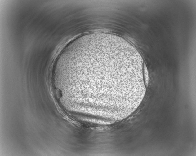 X0000052920241200508050810