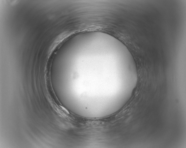 X0000052920242200508050810
