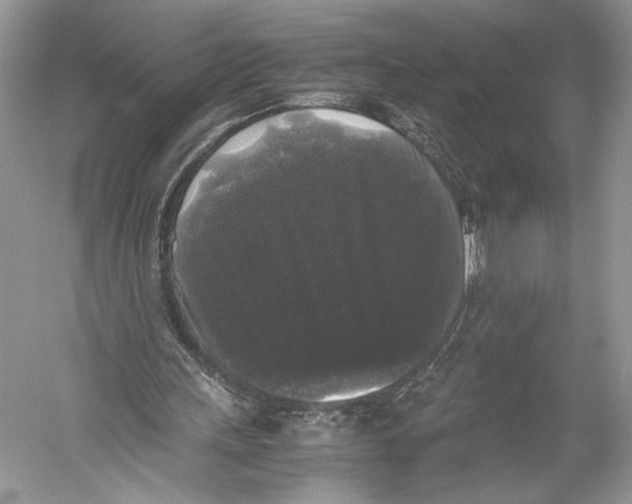 X0000052920243200508050811