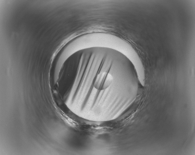X0000052920244200508050811