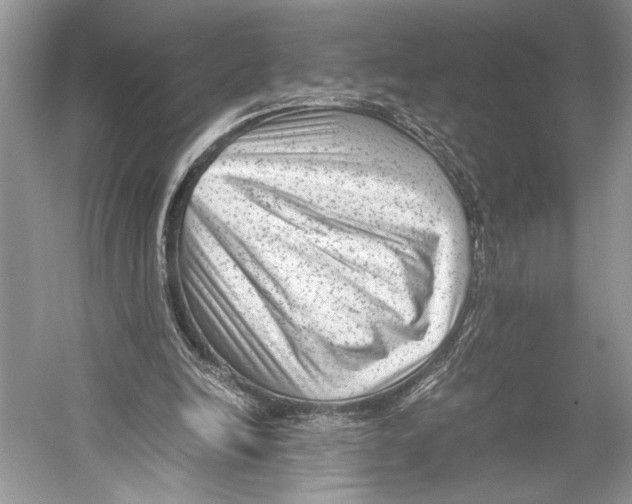 X0000052920246200508050811