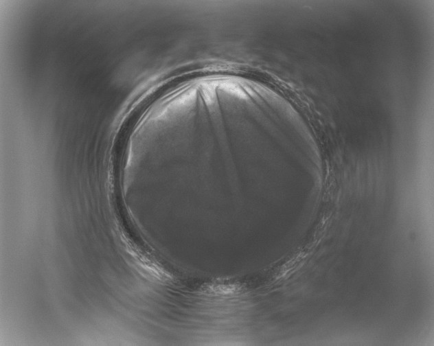 X0000052920247200508050811