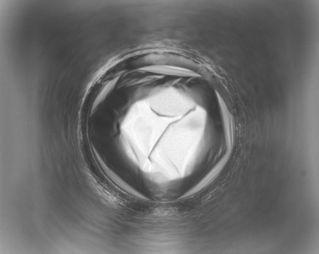 X0000052920248200508050811