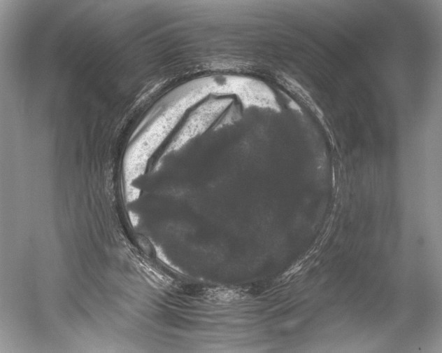 X0000052920249200508050811