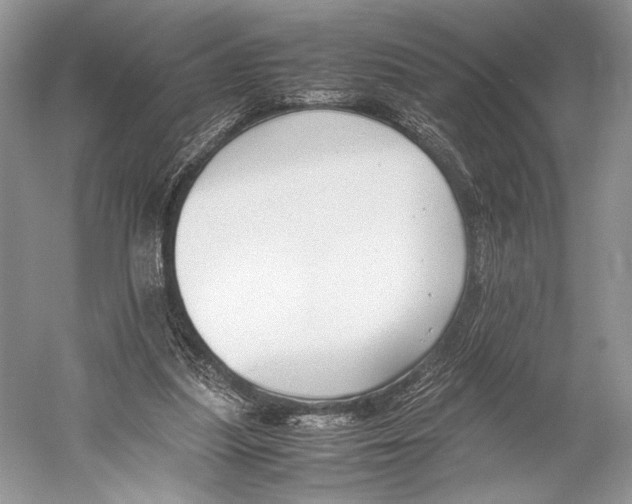 X0000052920251200508050811