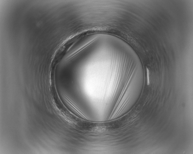 X0000052920252200508050811