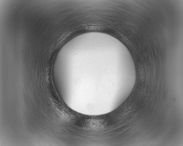 X0000052920255200508050811
