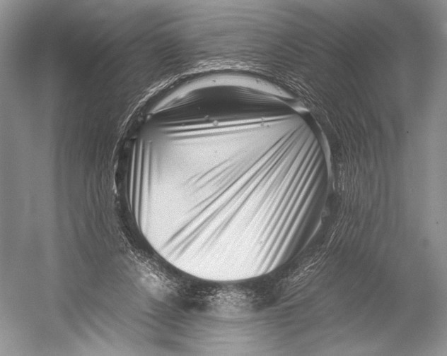 X0000052920256200508050811