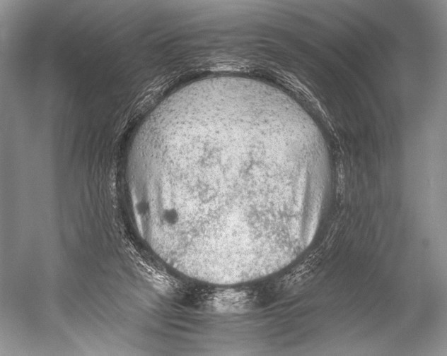 X0000052920257200508050811