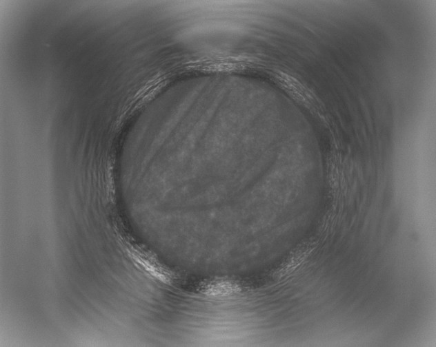 X0000052920258200508050811