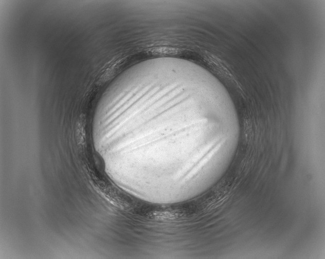 X0000052920259200508050811