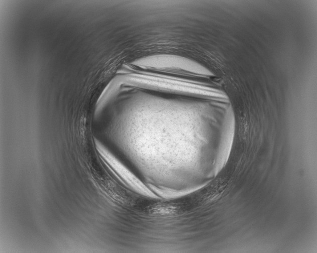 X0000052920263200508050811