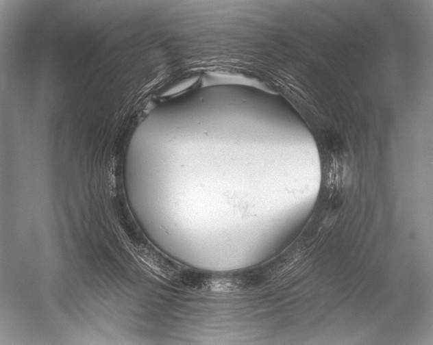X0000052920264200508050811
