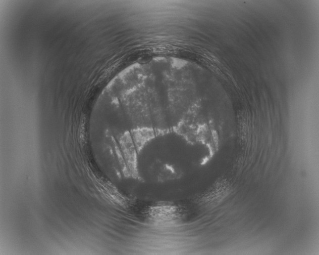 X0000052920266200508050811