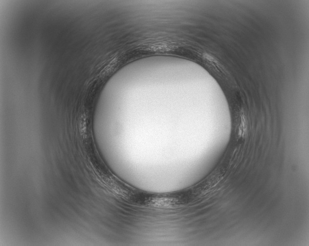 X0000052920268200508050811