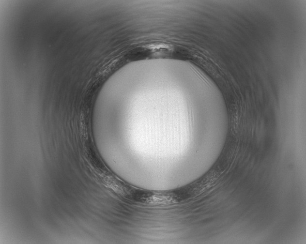 X0000052920270200508050811