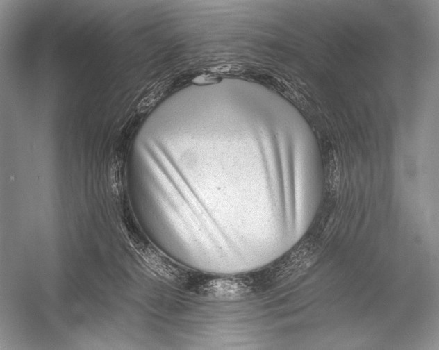 X0000052920272200508050811