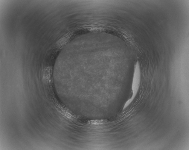 X0000052920273200508050811