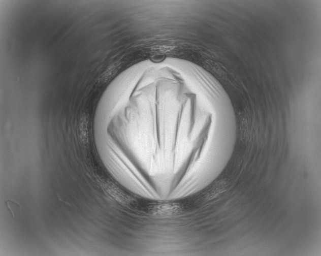 X0000052920274200508050811