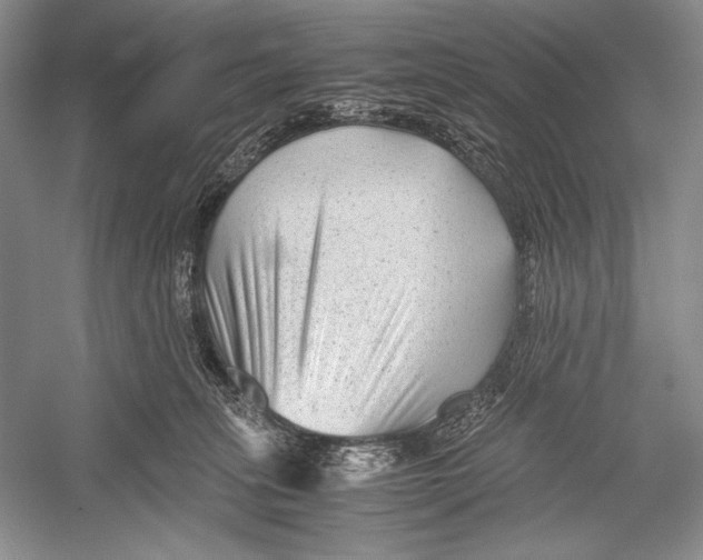 X0000052920275200508050811