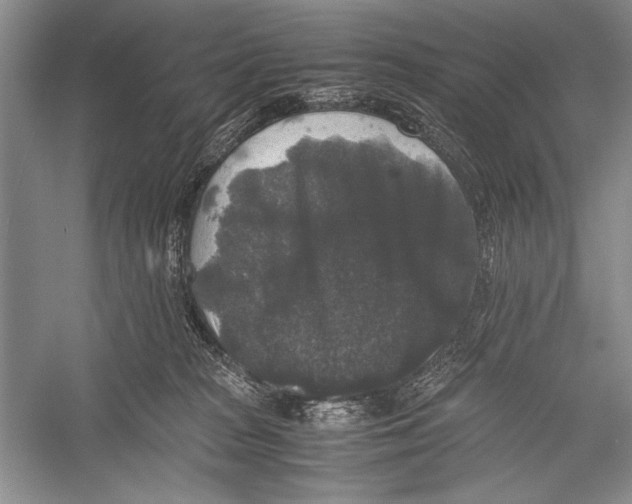 X0000052920277200508050811