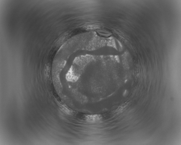 X0000052920281200508050811