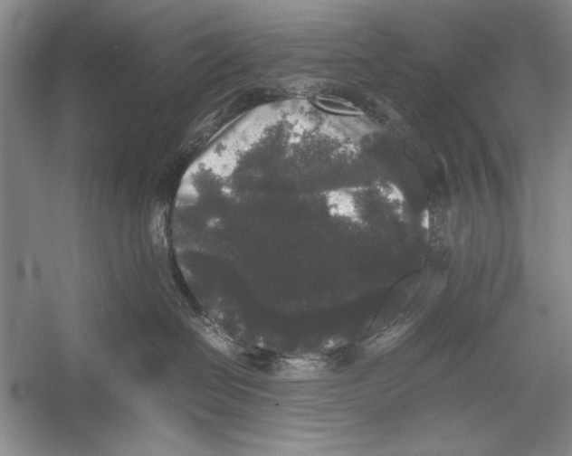 X0000052920286200508050811