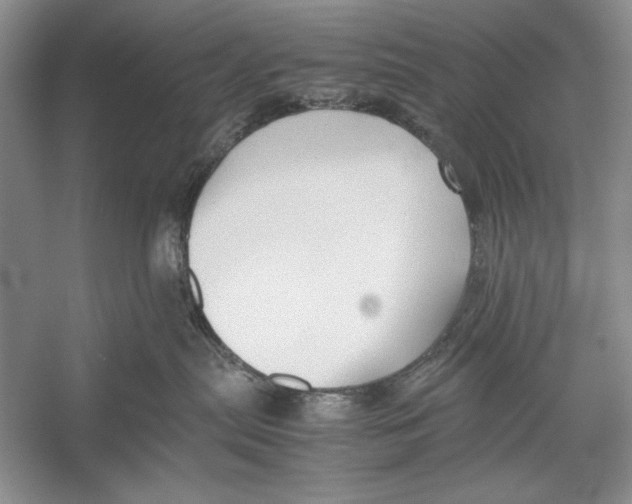 X0000052920287200508050811