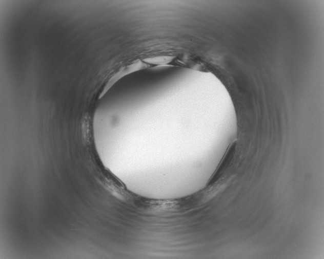 X0000052920288200508050811
