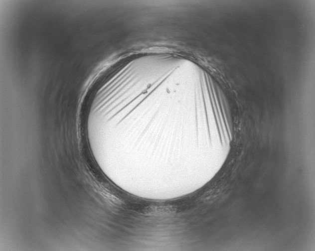 X0000052920296200508050810
